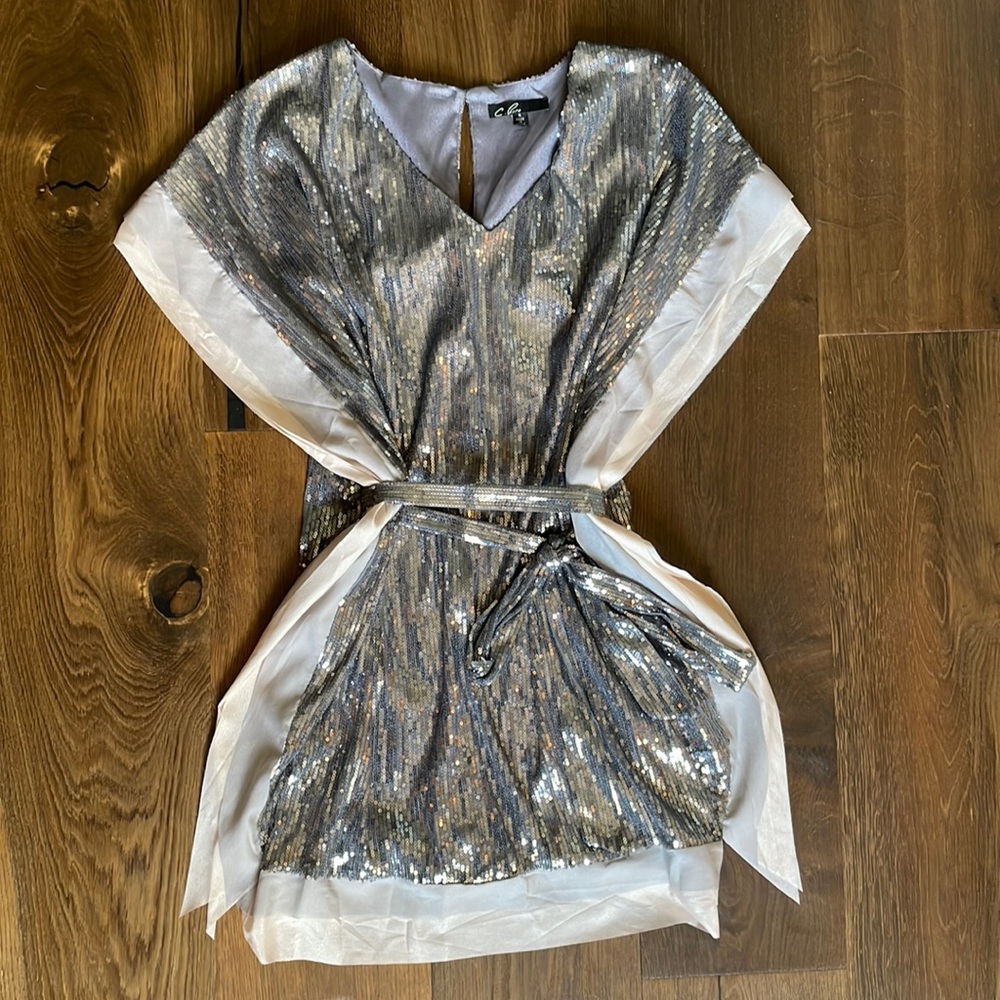 Silver sequin mini dress. Never worn, excellent condition.